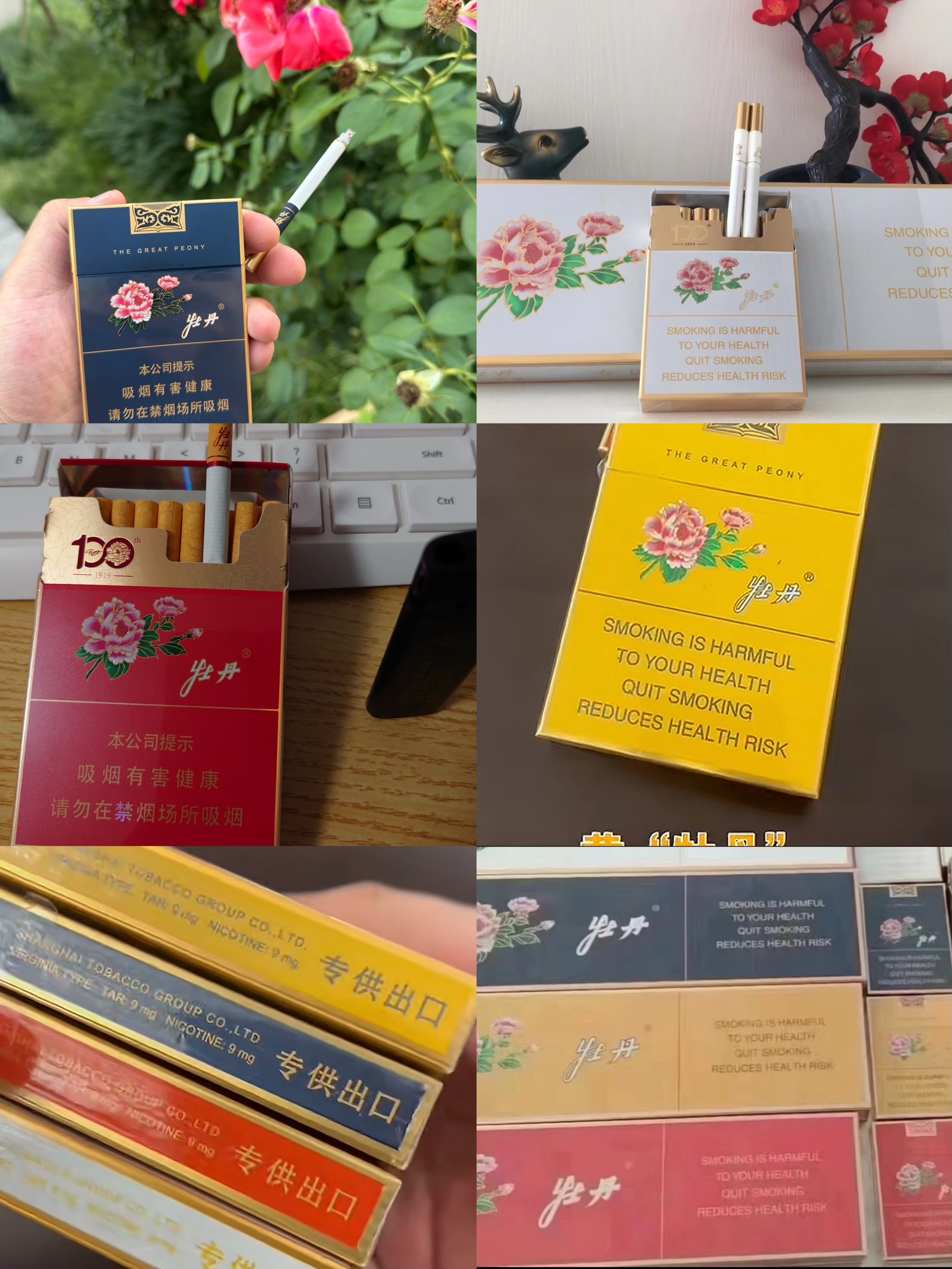 专供出口牡丹198/条 四种颜色