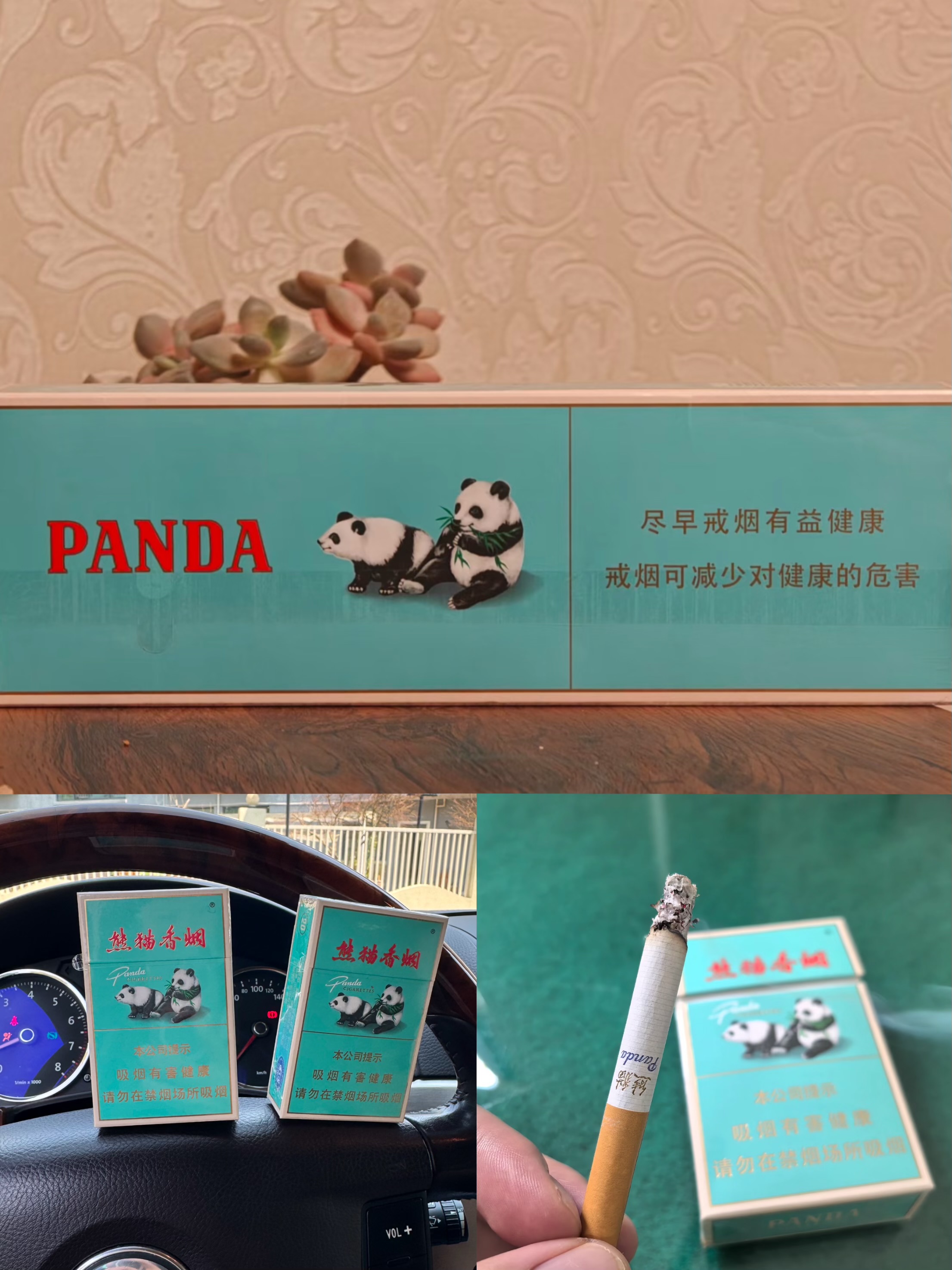 老板绿大熊猫400/条